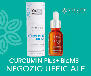 Vidafy Curcumina Plus+ con BioMS™